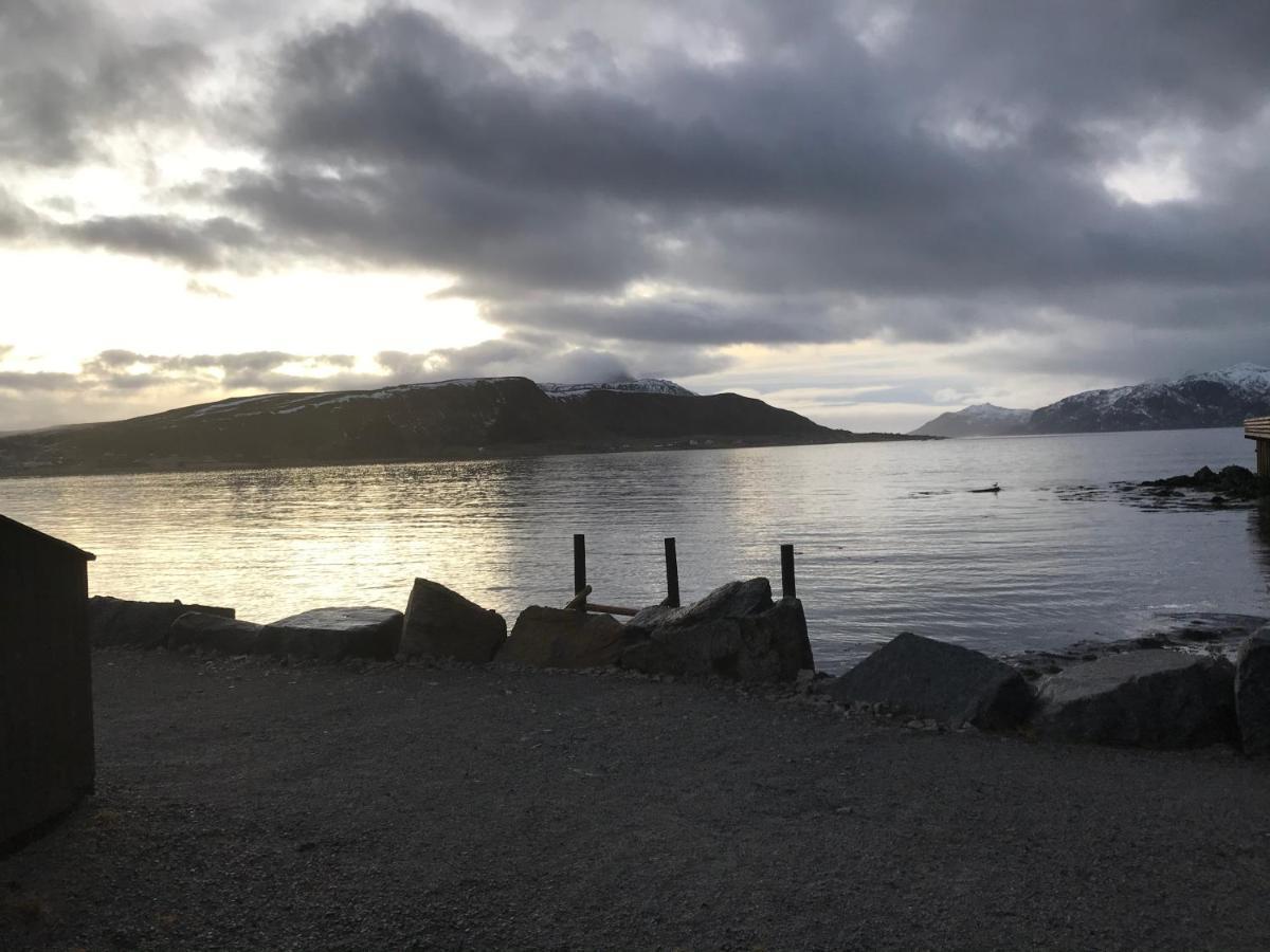 Lofoten Havfiske Leknes Esterno foto
