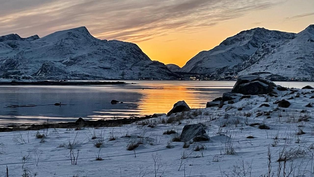 Lofoten Havfiske Leknes Esterno foto