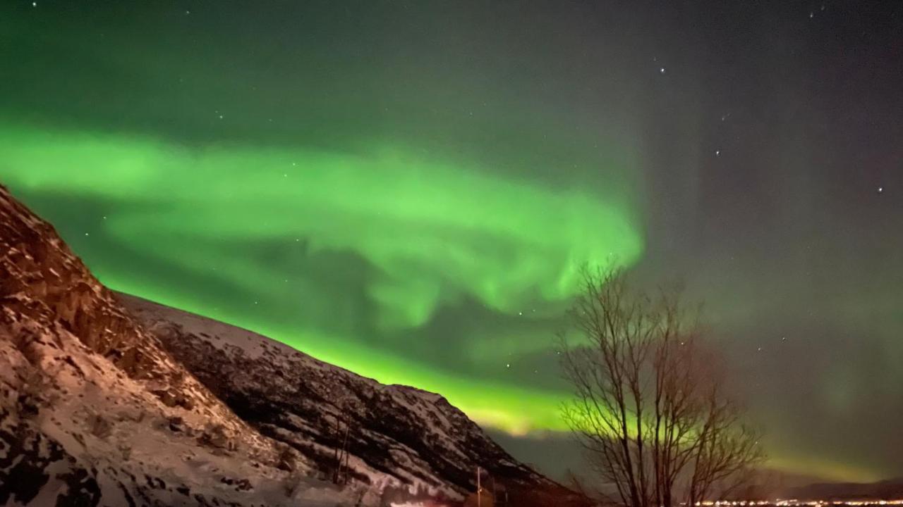 Lofoten Havfiske Leknes Esterno foto