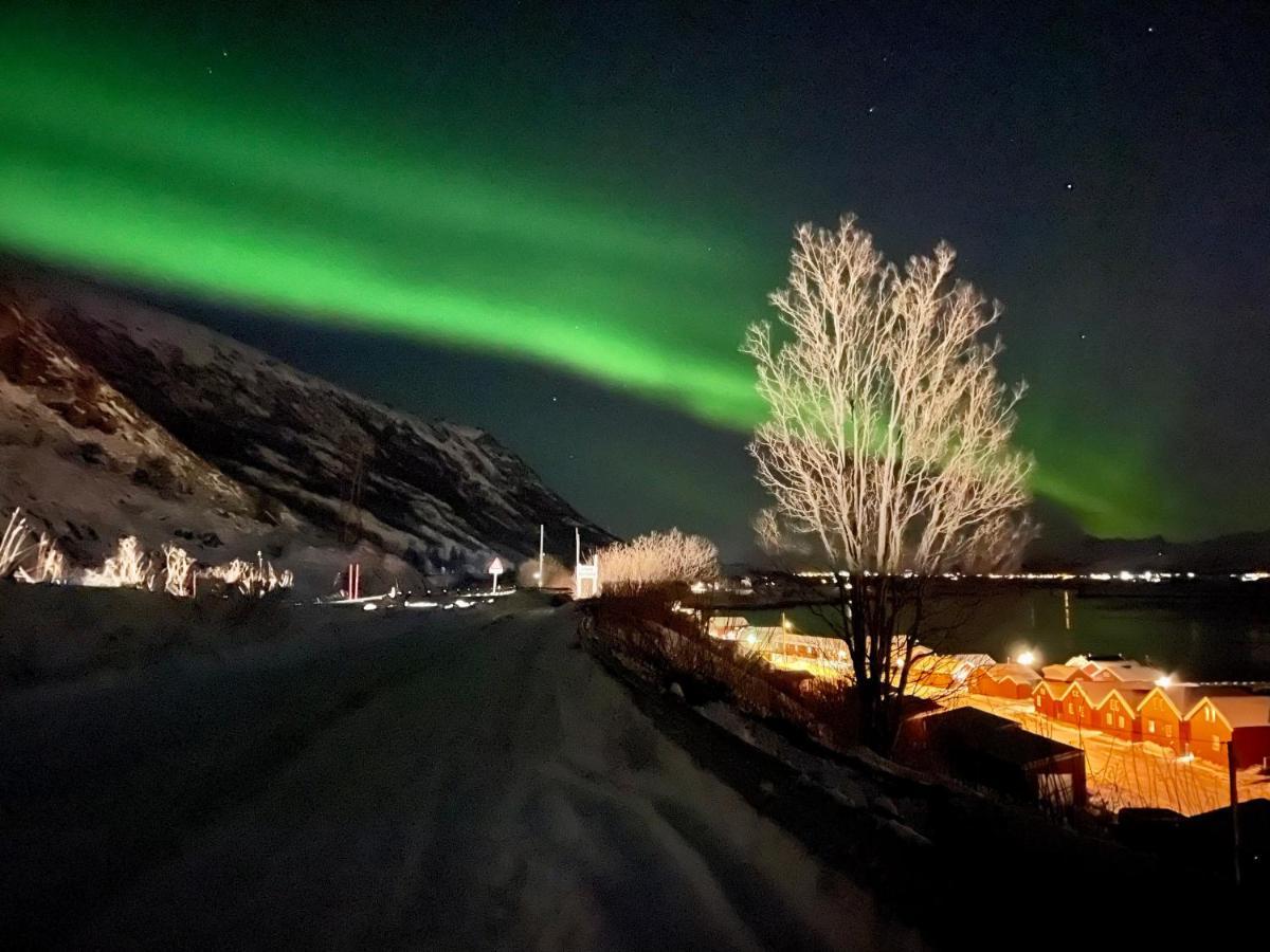 Lofoten Havfiske Leknes Esterno foto