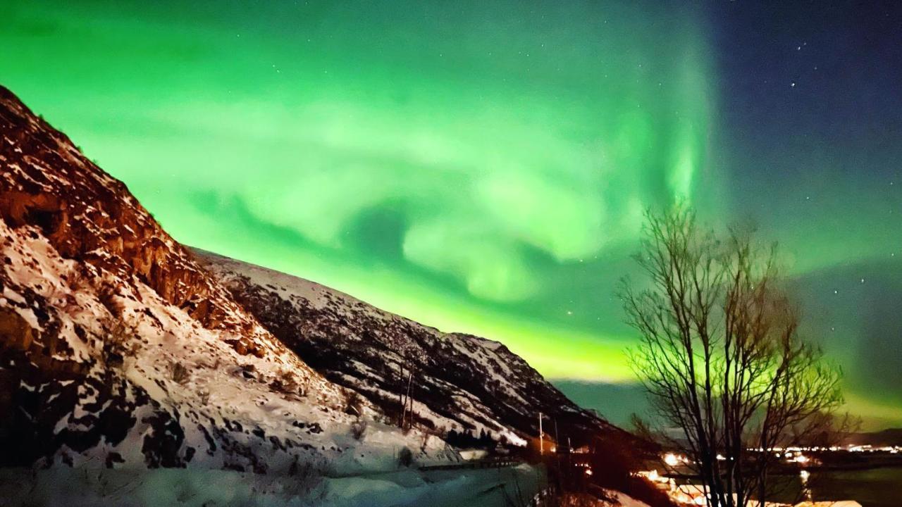 Lofoten Havfiske Leknes Esterno foto