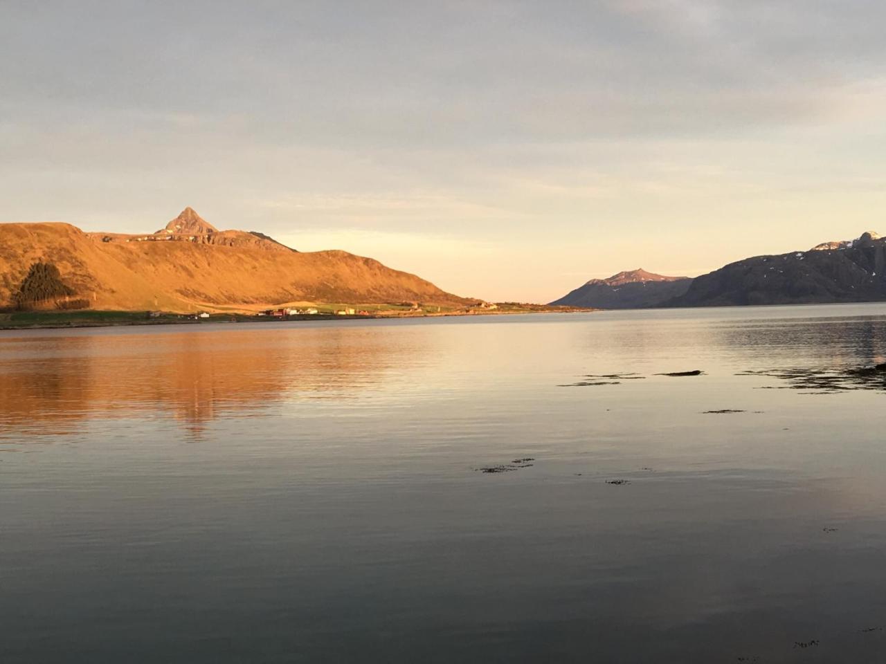 Lofoten Havfiske Leknes Esterno foto