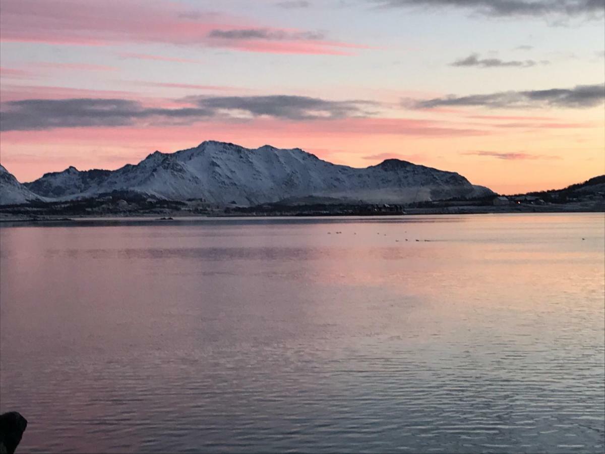 Lofoten Havfiske Leknes Esterno foto